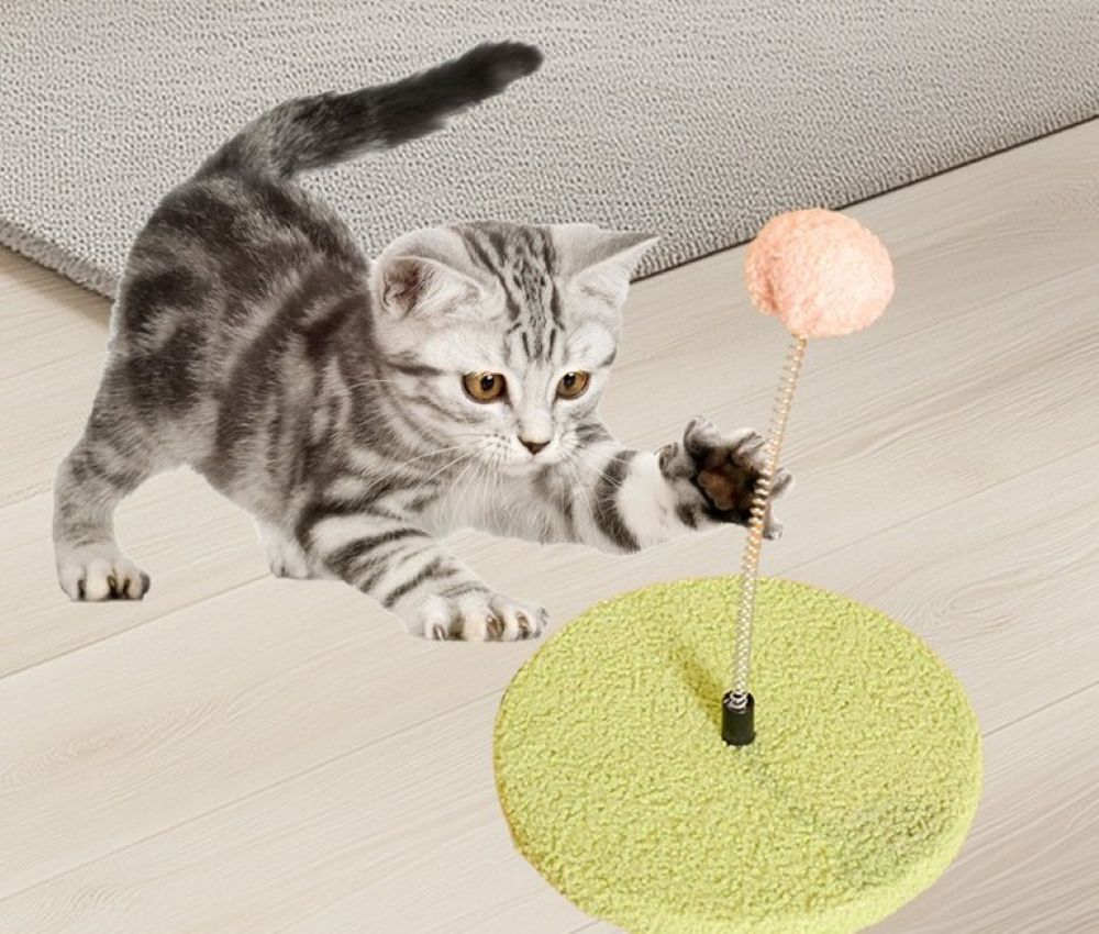 cat toys bulk