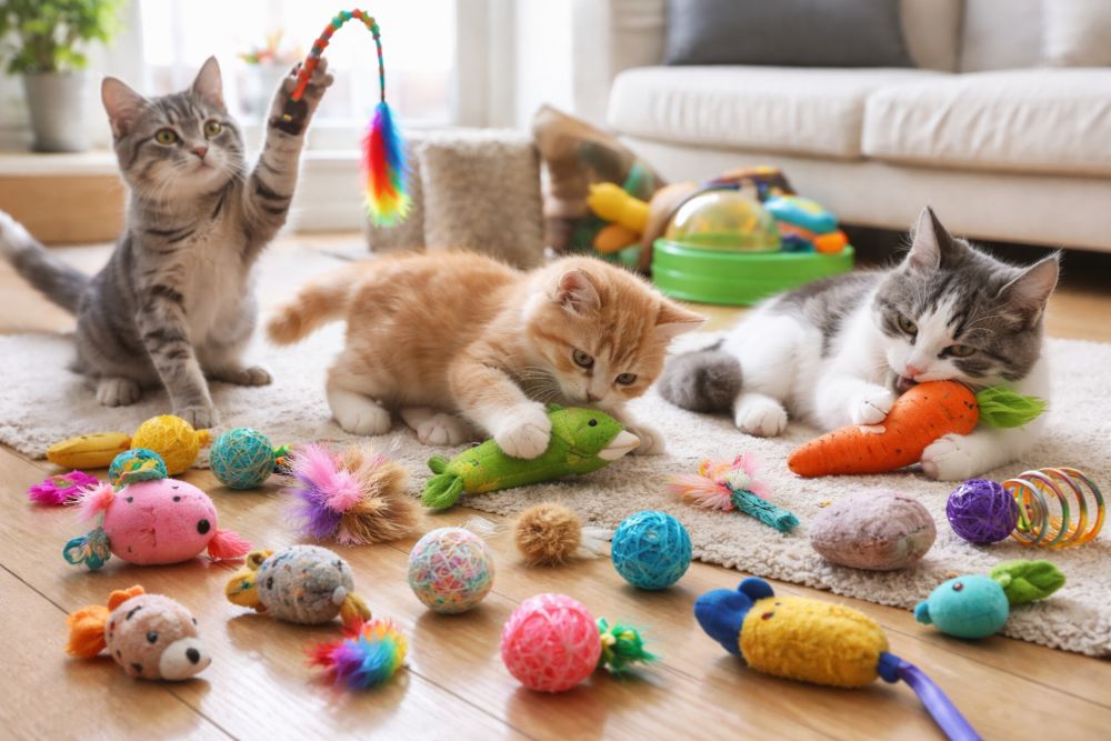Cat Toy Bulk: A Strategic Guide to Sourcing, Branding, and Scaling Pet Toy Businesses
