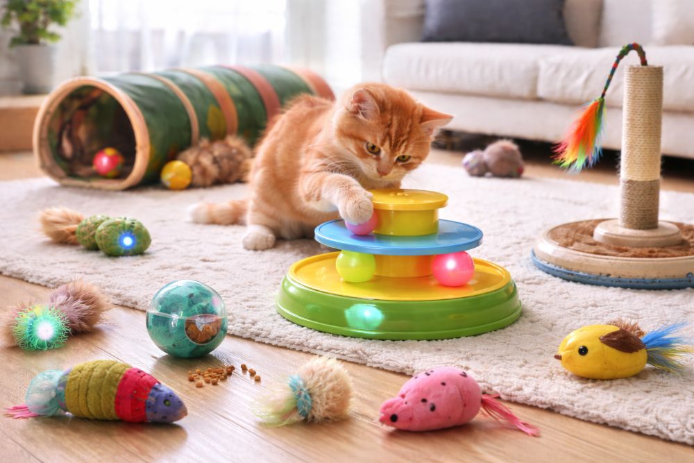  self play cat toys