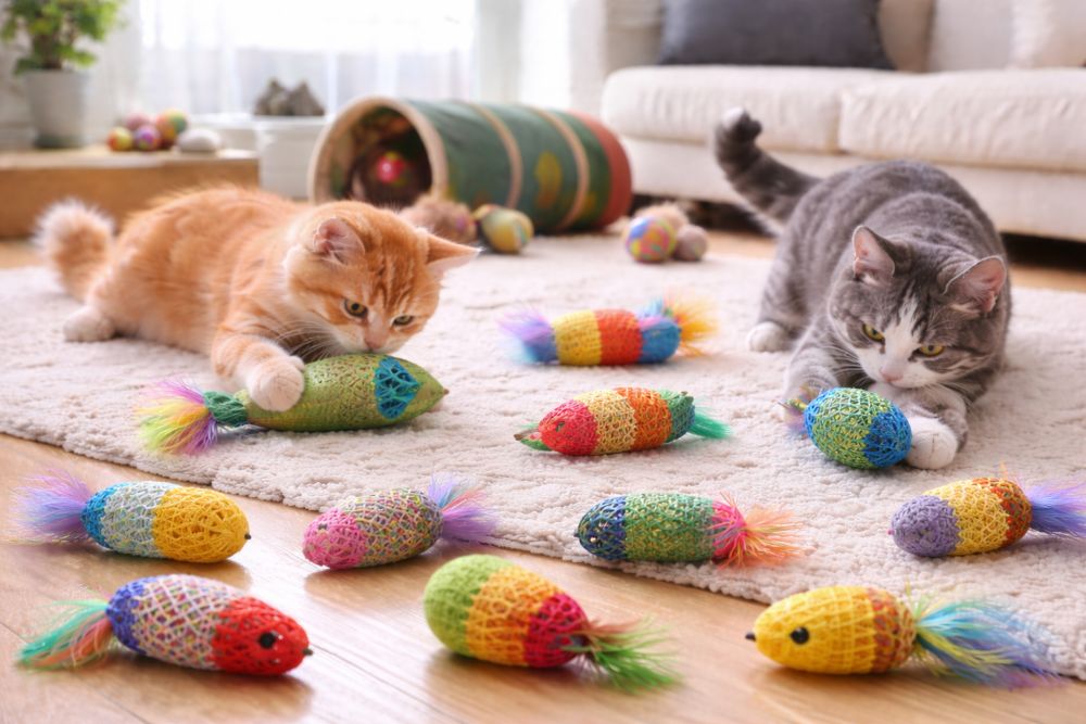 Mesh Cat Toys: Lightweight, Durable, and Engaging Play Solutions for Modern Cats