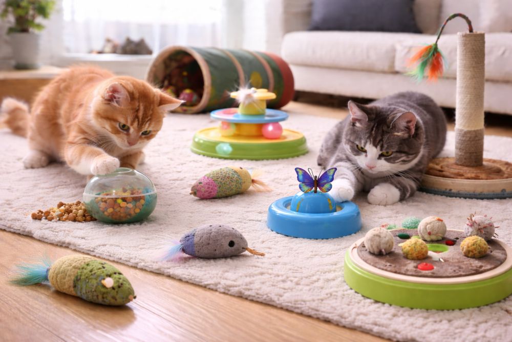 cat toys for independent play