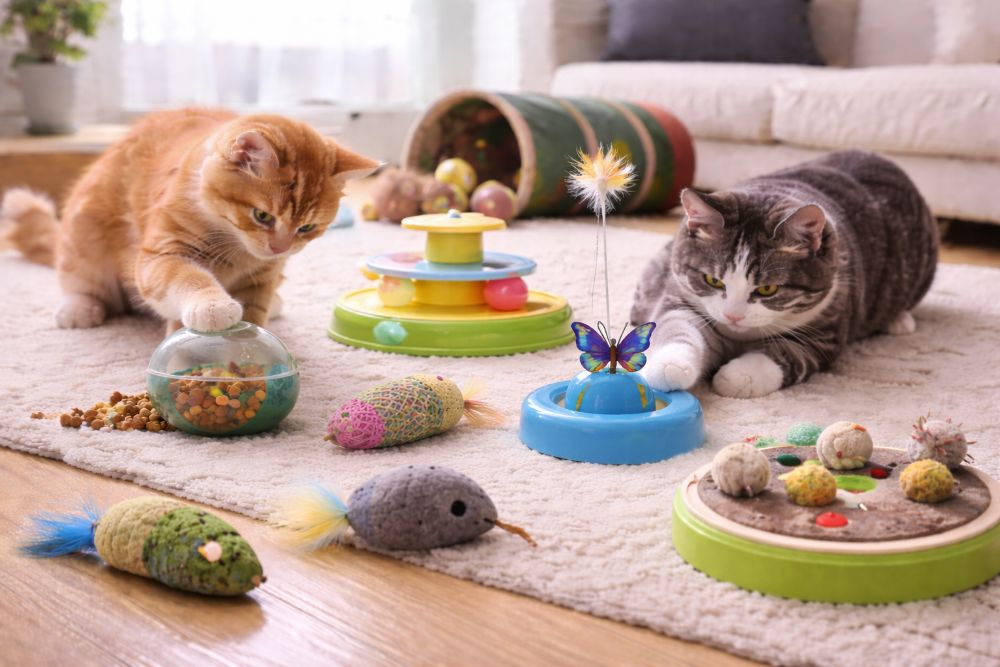 Best Interactive Toy for Cats: A Complete Guide to Engagement, Enrichment, and Happy Pets