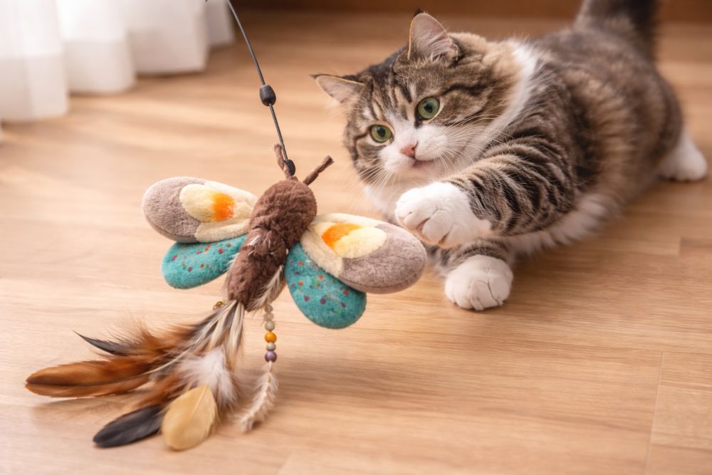 Moth Cat Toy: A Natural-Inspired Interactive Toy That Captivates Feline Instincts