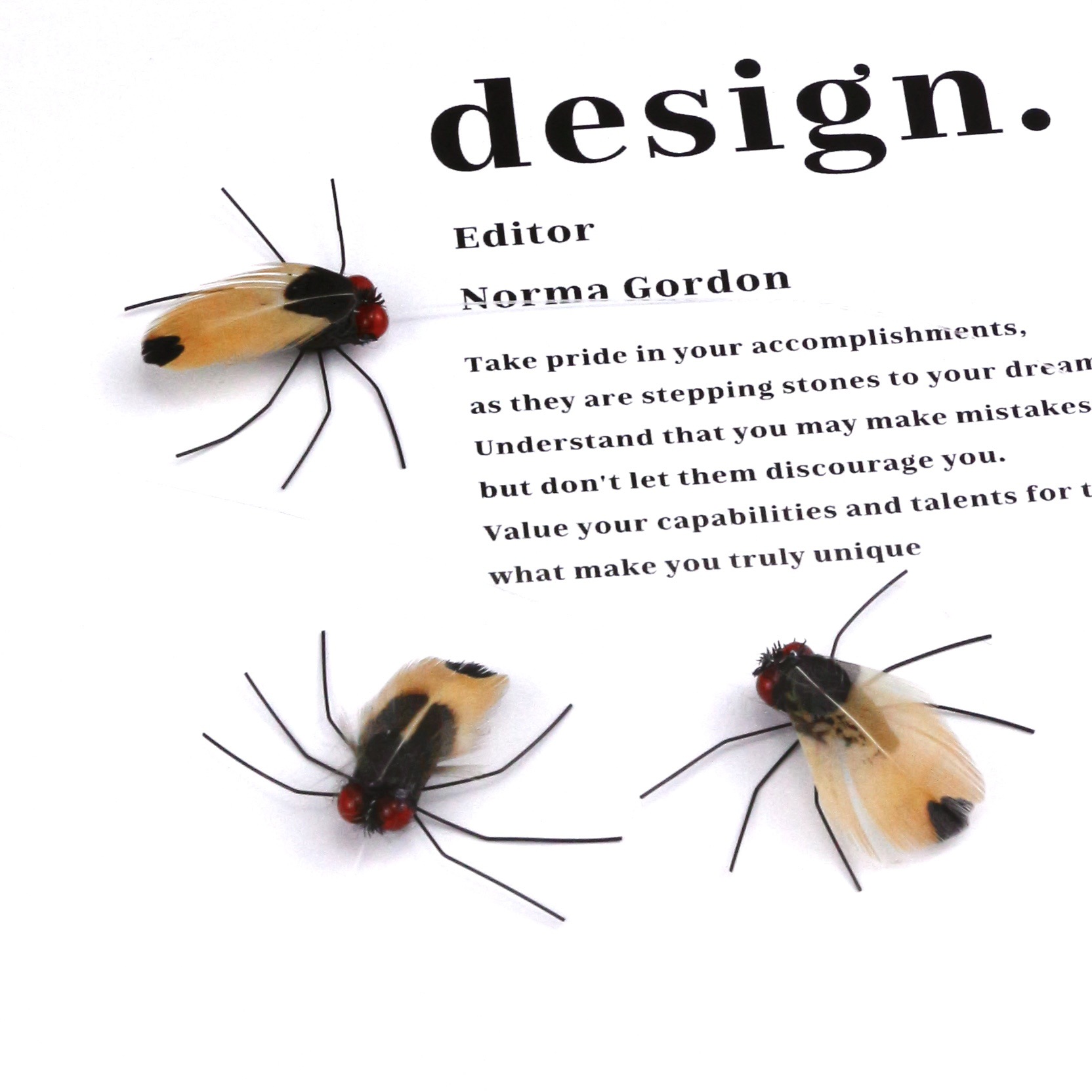 Beetle Cat Toy Wand Replacement Head